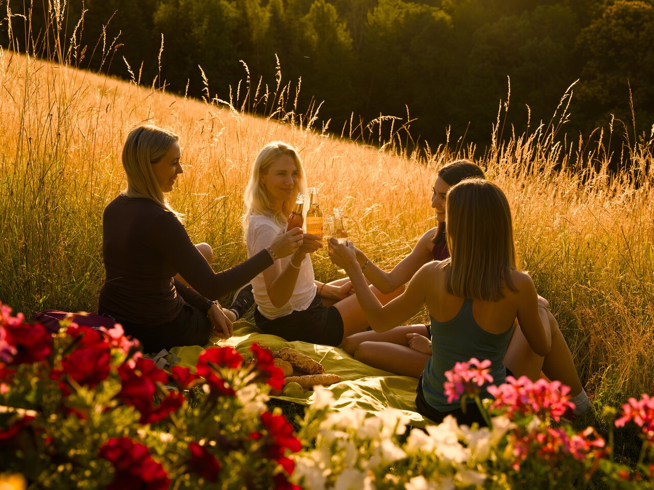 Wanderpicknick am Pöllauberg im Naturpark Pöllauer Tal in der Oststeiermark