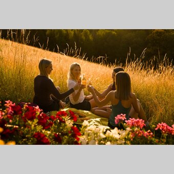 Wanderpicknick am Pöllauberg im Naturpark Pöllauer Tal in der Oststeiermark | ©  Oststeiermark Tourismus | Motion Manager