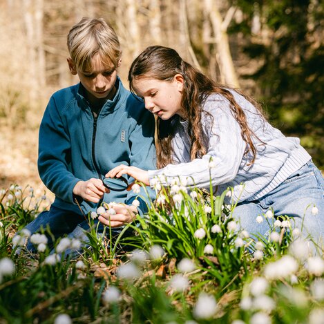 Kinder erkunden eine blühende Wiese | ©  Oststeiermark Tourismus | Lucas Oswald Vollmann & Noah Ulrich