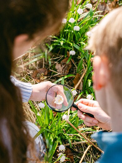 Kinder beobachten Blumen mit Lupe | ©  Oststeiermark Tourismus | Lucas Oswald Vollmann & Noah Ulrich
