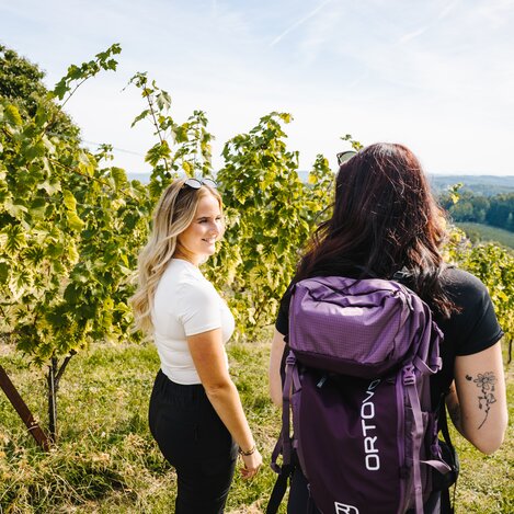 Spaziergang in den Weingärten in der Oststeiermark | ©  Oststeiermark Tourismus | Noah Ulrich