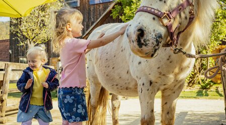Kinder und ein Pony beim Streicheln
