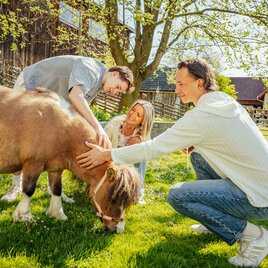 Eine Familie interagiert glücklich mit einem kleinen Pony im Freien.