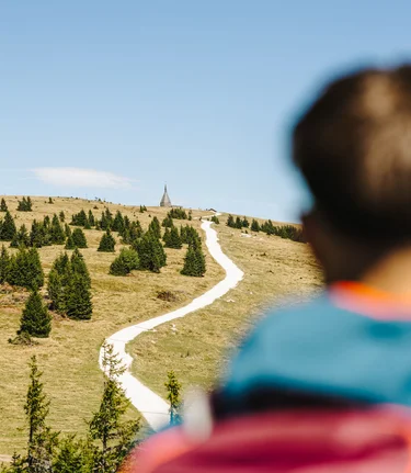 Aussicht auf den Hochwechsel in der Oststeiermark | ©  Oststeiermark Tourismus | Noah Ulrich