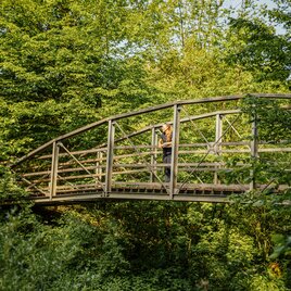 Eine Holzbrücke, die umgeben von Bäumen in der Natur steht.