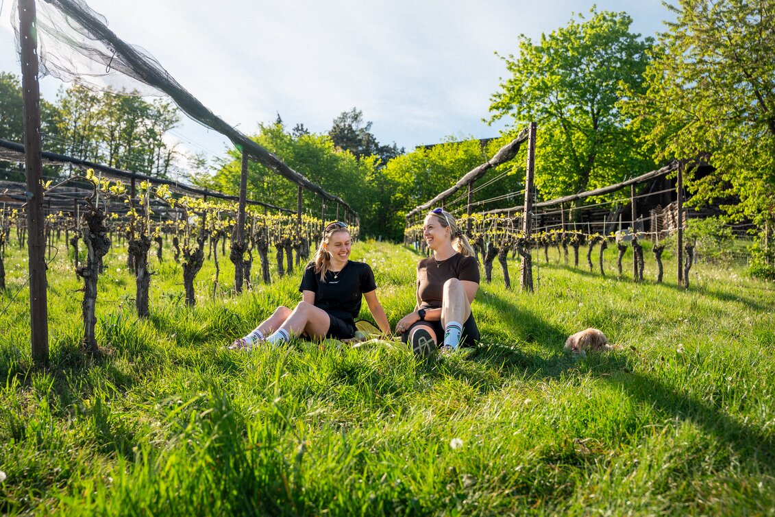 Zeit im Weinberg genießen | ©  Oststeiermark Tourismus | VLMMEDIA