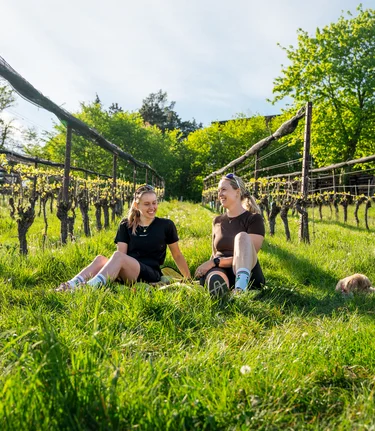 Enjoying Time in the Vineyard | ©  Oststeiermark Tourismus | VLMMEDIA