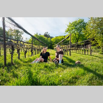 Zeit im Weinberg genießen | ©  Oststeiermark Tourismus | VLMMEDIA