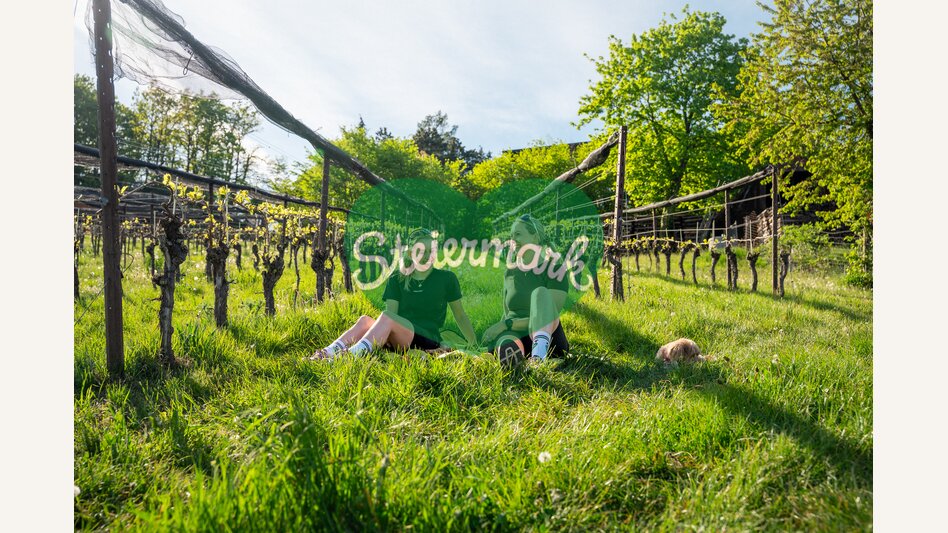 Zeit im Weinberg genießen | ©  Oststeiermark Tourismus | VLMMEDIA