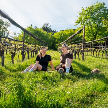 Idő a szőlőültetvényben | ©  Oststeiermark Tourismus | VLMMEDIA