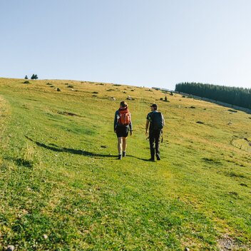 Aussicht beim Wandern auf der Alm in der Oststeiermark | ©  Oststeiermark Tourismus | Noah Ulrich