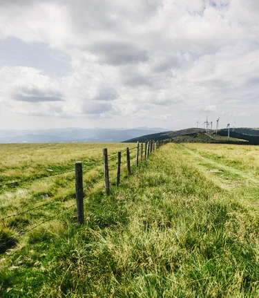 Weite Landschaft auf der Pretul | © 
Oststeiermark Tourismus | Noah Ulrich