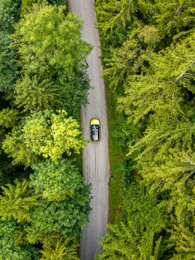 Auto fährt durch Wälder in der Oststeiermark | © Oststeiermark Tourismus | Lucas Vollmann-Oswald