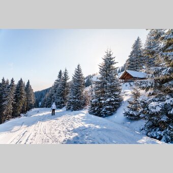 Schneeschuhwandern in der Winterlandschaft mit schneebedeckten Bäumen | ©  Oststeiermark Tourismus | Lucas Vollmann-Oswald