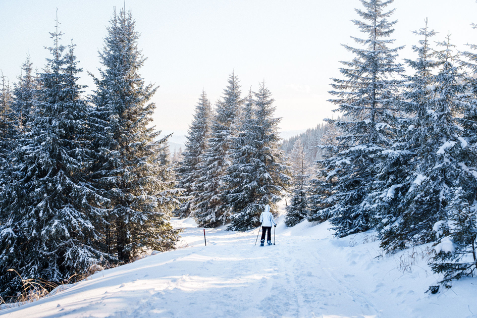 Winter Hike through the Snowy Forest | ©  Oststeiermark Tourismus | Lucas Vollmann-Oswald