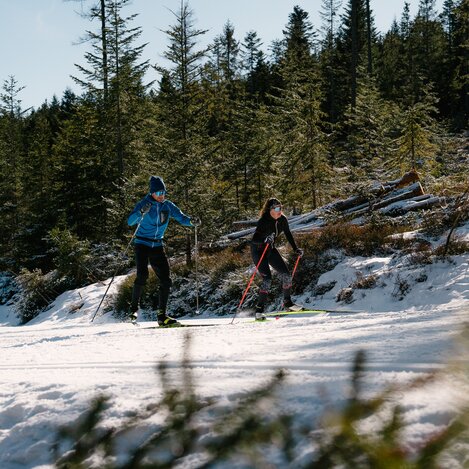Langlaufen in Joglland- Waldheimat in der Oststeiermark | ©  Oststeiermark Tourismus | RKP Marketing