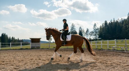 Reiten im Joglland- Waldheimat in der Oststeiermark | ©  Oststeiermark Tourismus | RKP Marketing