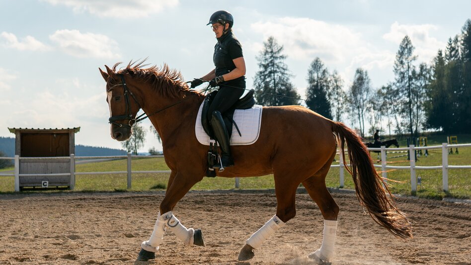 Reiten im Joglland- Waldheimat in der Oststeiermark | ©  Oststeiermark Tourismus | RKP Marketing