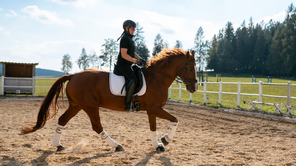 Reiten im Joglland- Waldheimat in der Oststeiermark | ©  Oststeiermark Tourismus | RKP Marketing