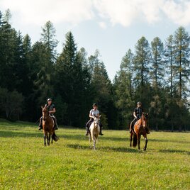 Riding in Joglland- Waldheimat in Eastern Styria