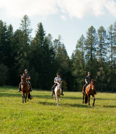Reiten im Joglland- Waldheimat in der Oststeiermark | ©  Oststeiermark Tourismus | RKP Marketing