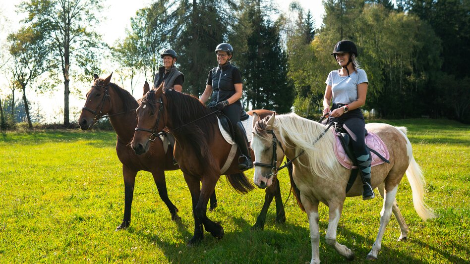 Reiten im Joglland- Waldheimat in der Oststeiermark | ©  Oststeiermark Tourismus | RKP Marketing