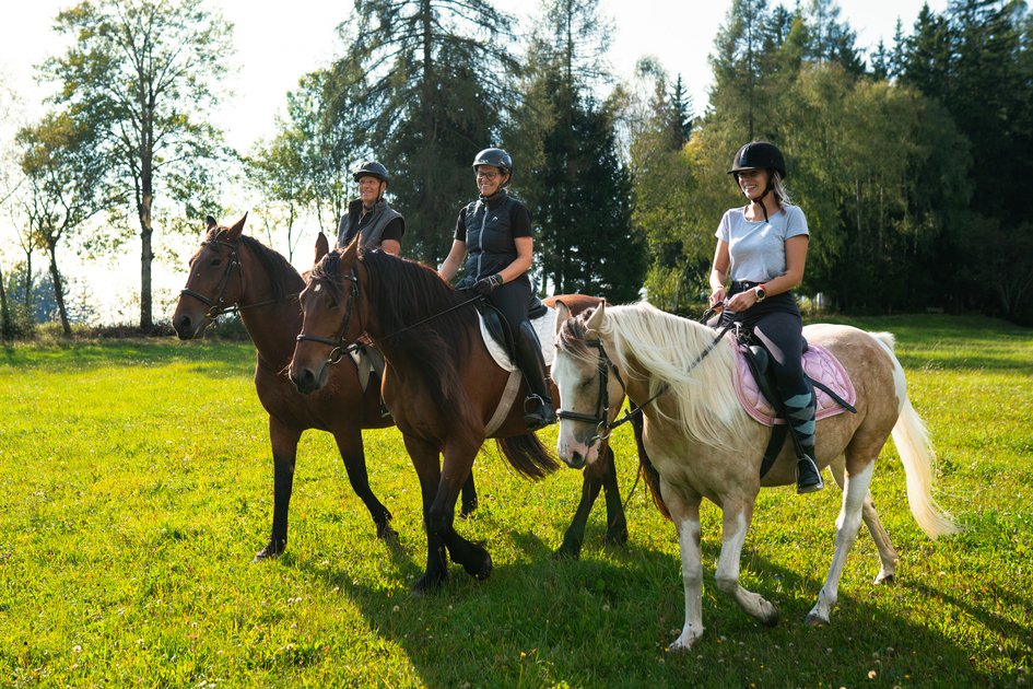 Riding in Joglland- Waldheimat in Eastern Styria | ©  Oststeiermark Tourismus | RKP Marketing