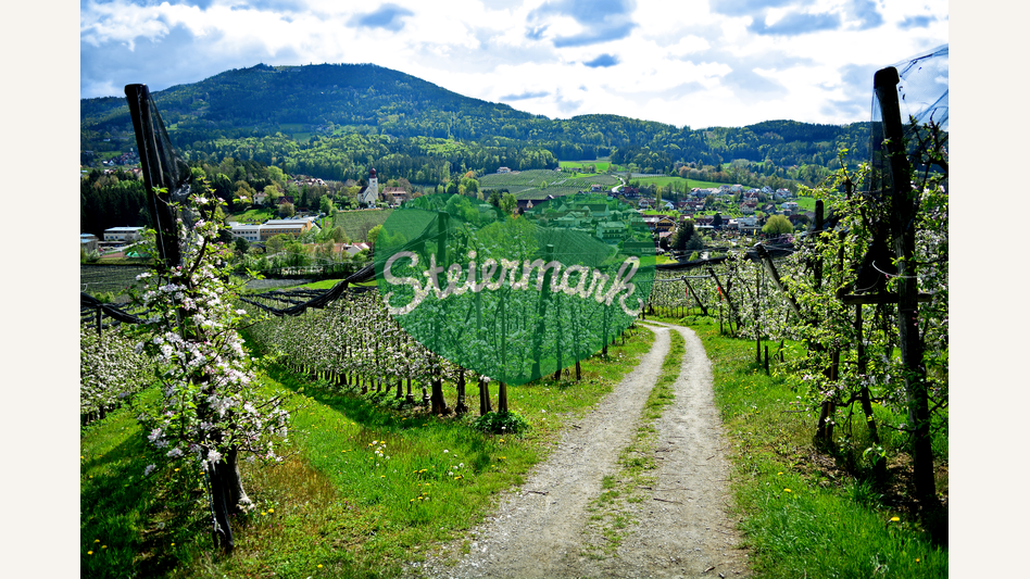 Apfelgärten im Apfelland in der Oststeiermark | © Oststeiermark Tourismus | Christian Strassegger