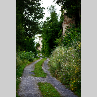 Weg zum Schloss Frondsberg in Birkfeld | © Oststeiermark Tourismus | Christian Strassegger