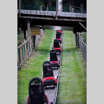 Sommerrodelbahn Koglhof | © 
Oststeiermark Tourismus | Christian Strassegger