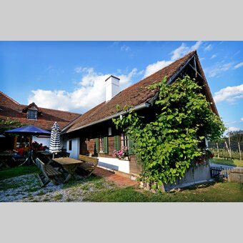 Haus des Apfels im Apfelland | © 
Oststeiermark Tourismus | Christian Strassegger