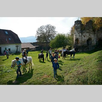Sturmwanderung Ruine Apfelland | © 
Oststeiermark Tourismus | Christian Strassegger