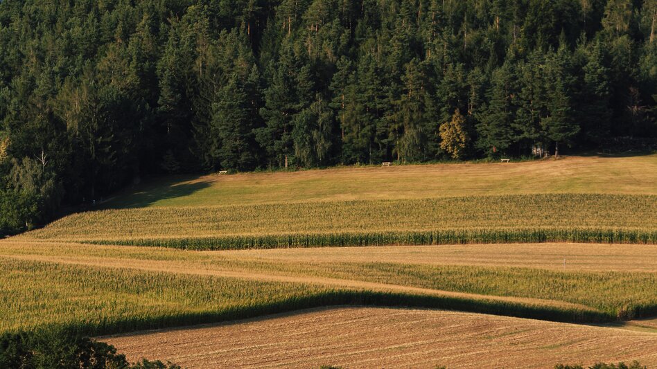 Gerapark Aussichtsturm in Rohrbach an der Lafnitz in der Oststeiermark