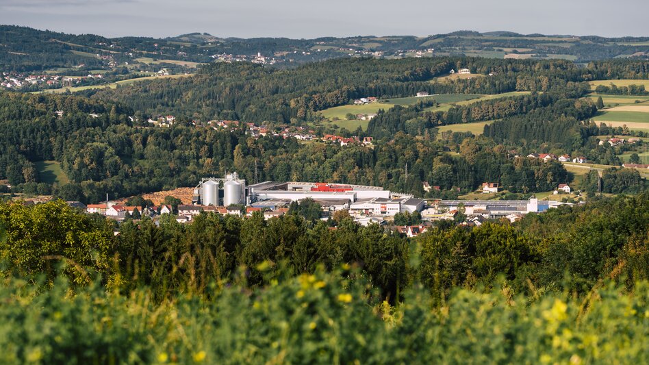 Luftaufnahme von Rohrbach an der Lafnitz in der Oststeiermark
