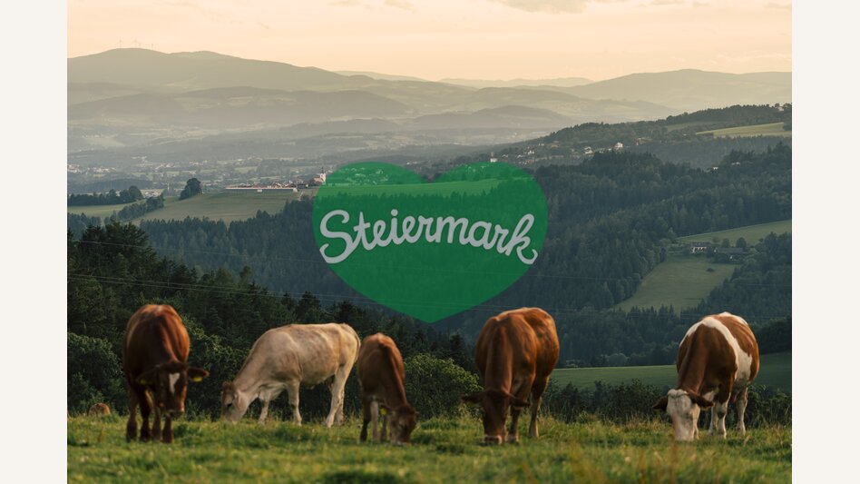 Wanderlandschaft in Schäffern in der Oststeiermark | ©  Oststeiermark Tourismus |  Bernhard Bergmann