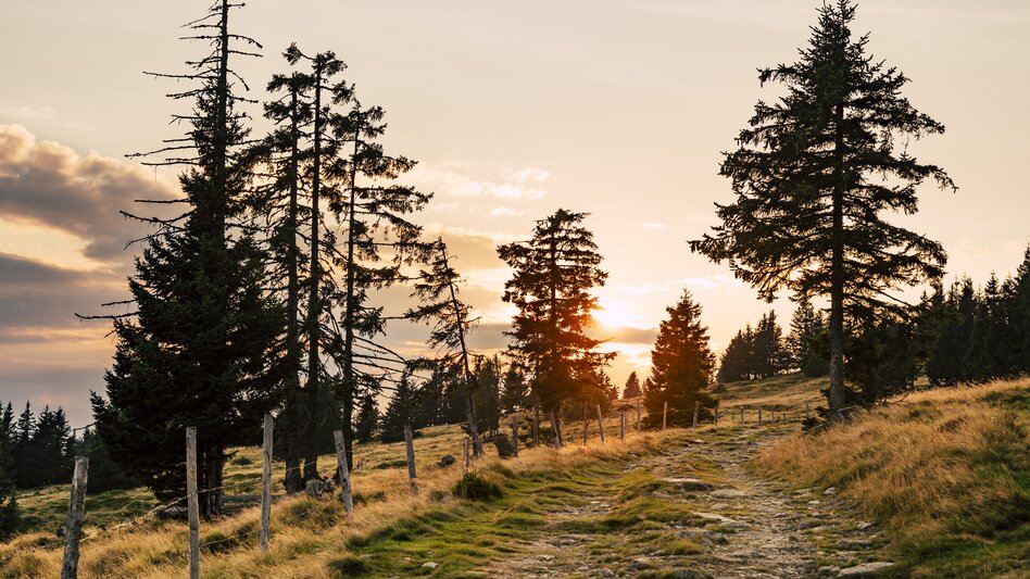 Wanderweg in St. Lorenzen in der Oststeiermark