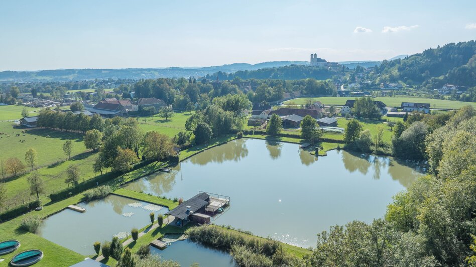 Luftaufnahme Teich in Thannhausen in Weiz