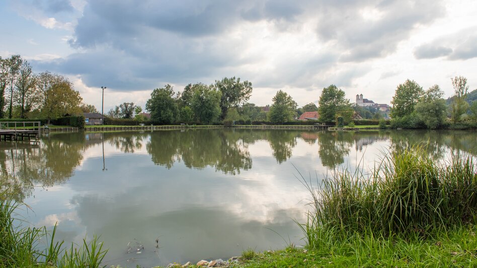 Teich in Thannhausen in Weiz