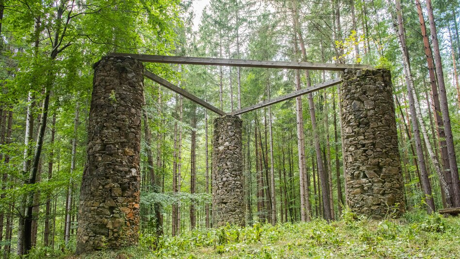 Wald in Thannhausen in Weiz