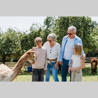 Großeltern mit Enkelkindern bei den Pöllauertal Alpakas in der Oststeiermark. | ©  Oststeiermark Tourismus | Motion Ads