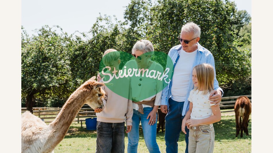 Großeltern mit Enkelkindern bei den Pöllauertal Alpakas in der Oststeiermark. | ©  Oststeiermark Tourismus | Motion Ads