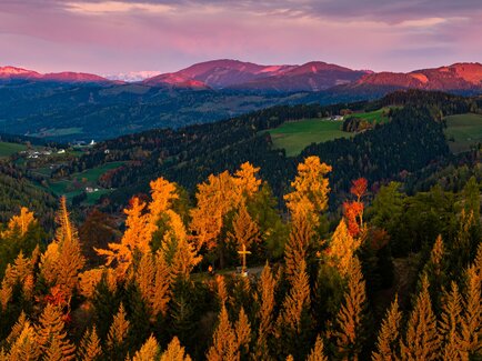Drohnenfoto vom Zetz in der Oststeiermark