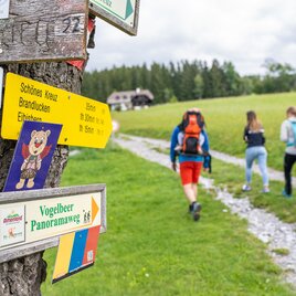 Wandern auf der Bärenrunde in der Oststeiermark