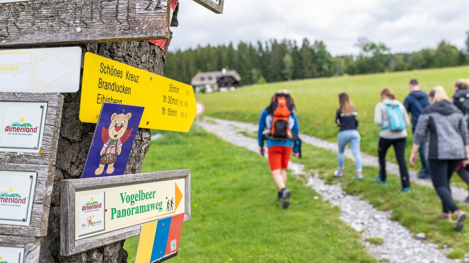 Wandern auf der Bärenrunde in der Oststeiermark