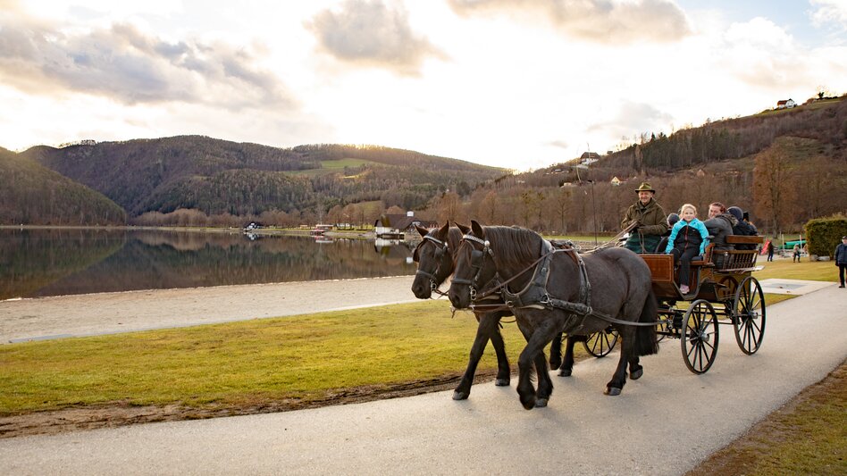 Pferdekutschenfahrt um den Stubenbergsee