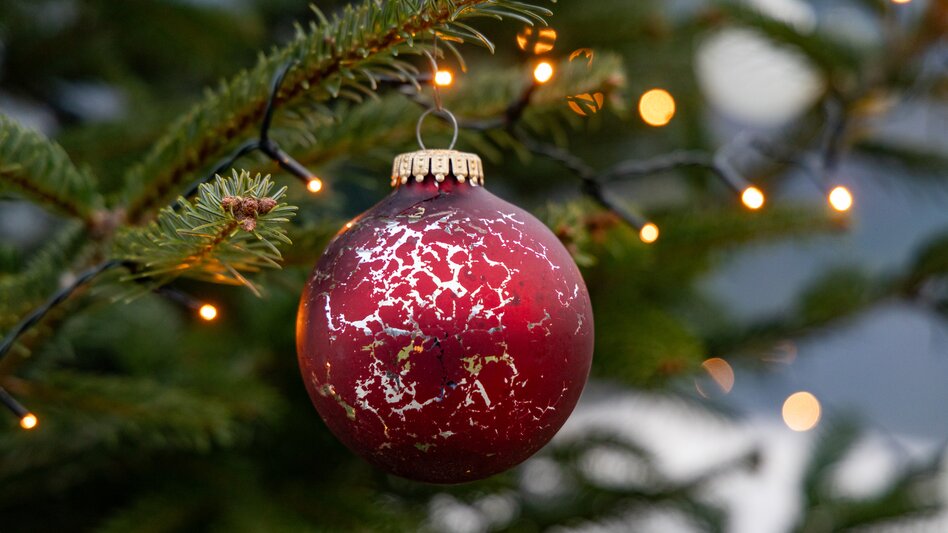Geschmückte Christbäume beim Weihnachtsmarkt am Stubenbergsee