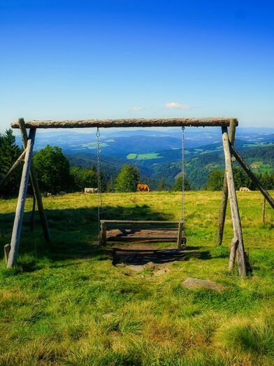  Enjoy the view at the Glatzl Trahütten Alm | © Glatzl Trahütten Alm | Mario Holzer