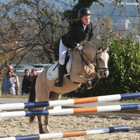Equestrian centre on the Ring in Hartbergerland | © RC Dressage Group Styria