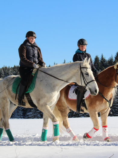 Das Leitner Home&Horse