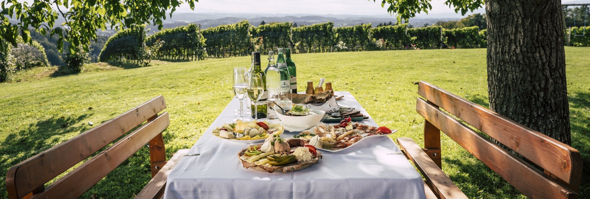 Set snack table in the vineyard in Eastern Styria | © TV Oststeiermark | Bernhard Bergmann